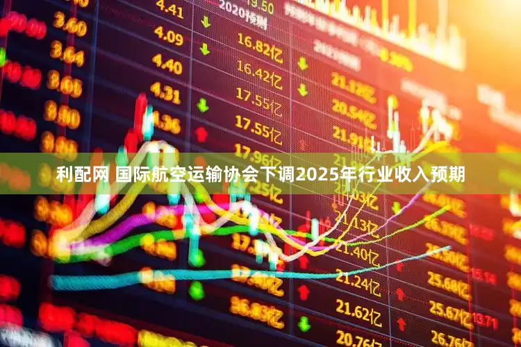 利配网 国际航空运输协会下调2025年行业收入预期