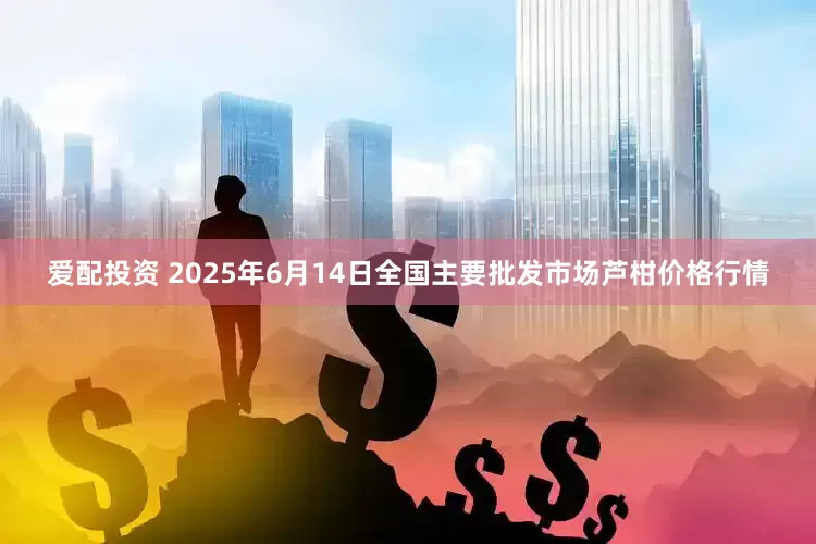 爱配投资 2025年6月14日全国主要批发市场芦柑价格行情